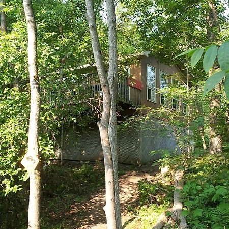 Ogopogo Resort Carnarvon Habitación foto
